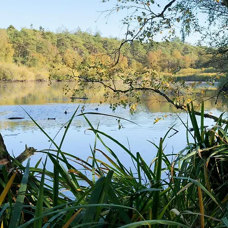 Haus Frauenpreis 68 شقة كوكسهافن